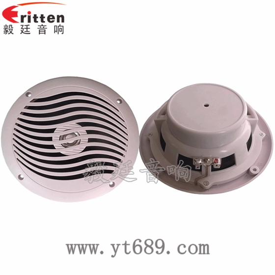 6.5寸游艇喇叭正反面 8''中低音舞臺音箱喇叭廠家正反面