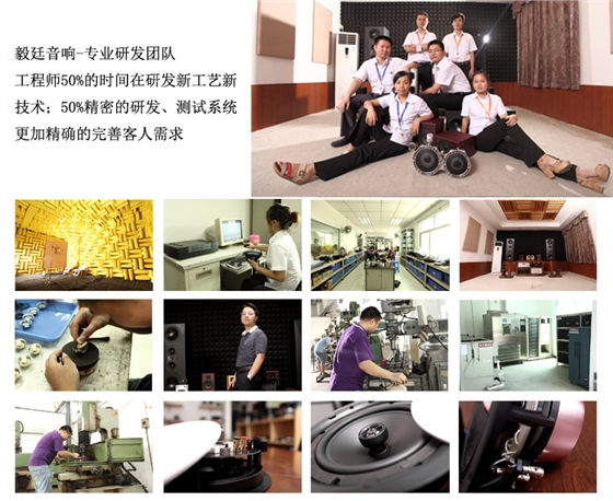 45mm全頻藍牙音箱喇叭研發團隊 45mm全頻藍牙音箱喇叭研發團隊