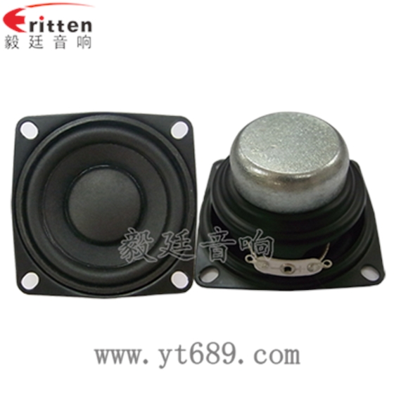 53mm2歐8瓦喇叭--喇叭廠家正反面