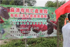 毅廷音響制造商