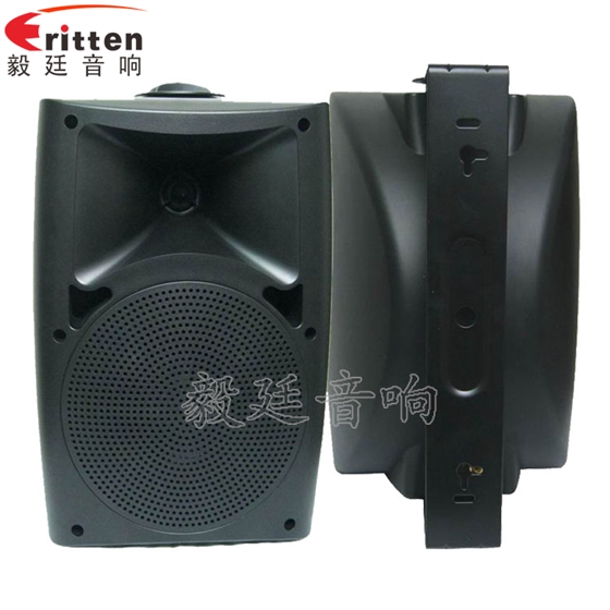 6.5寸墻壁音箱喇叭正反面 8''中低音舞臺音箱喇叭廠家正反面