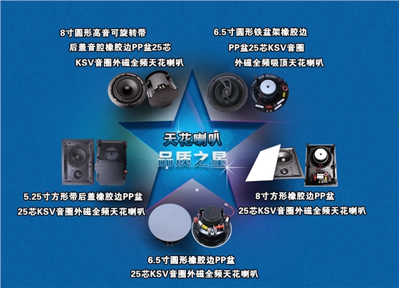 吸頂天花喇叭正反面圖 吸頂天花喇叭正反面圖