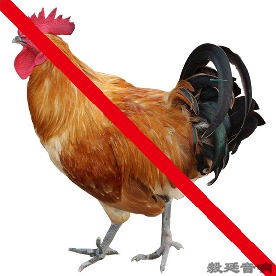 汽車音箱喇叭 汽車音箱喇叭