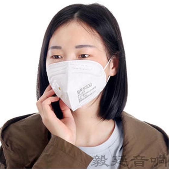 汽車音箱喇叭 汽車音箱喇叭