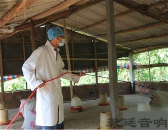 汽車音箱喇叭 汽車音箱喇叭