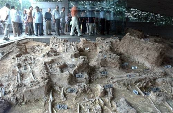 毅廷揚聲器喇叭生產廠家 毅廷揚聲器喇叭生產廠家