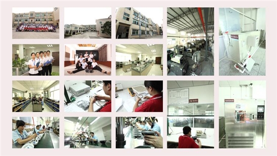 揚聲器喇叭 揚聲器喇叭