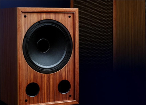 東莞喇叭廠(chǎng)家