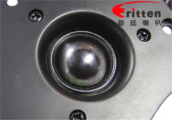 揚(yáng)聲器廠家