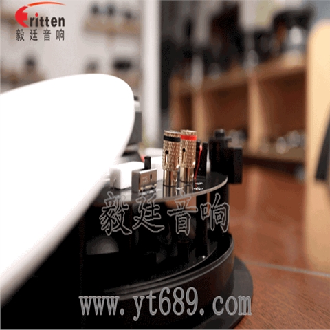 8寸天花吸頂喇叭 8寸天花吸頂喇叭