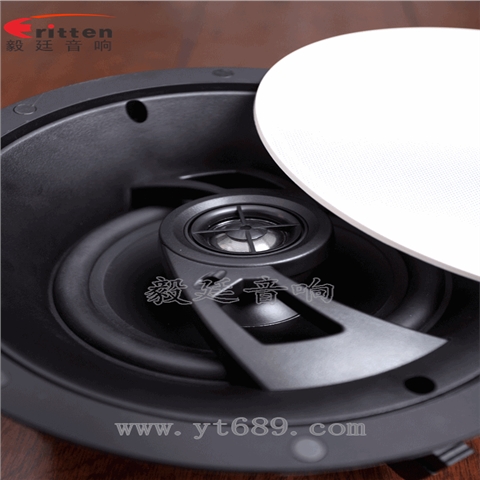 6.5寸40瓦天花全頻喇叭