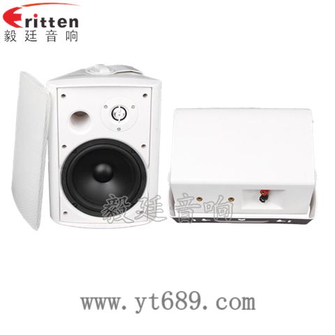 6.5寸2路墻壁音箱 6.5寸2路墻壁音箱