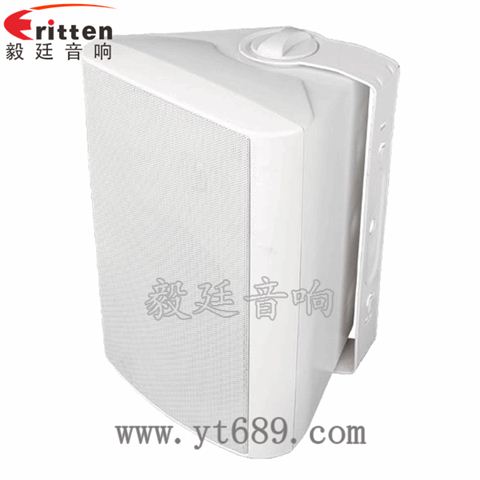 6.5寸2路墻壁音箱 6.5寸2路墻壁音箱