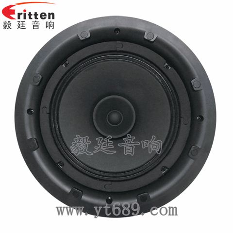 8寸25芯全頻喇叭 8寸25芯全頻喇叭