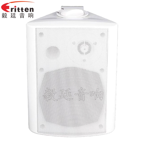 5.25寸掛壁音箱喇叭