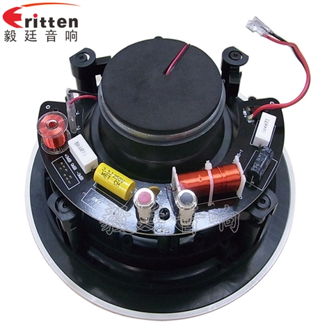 6.5寸天花喇叭廠家