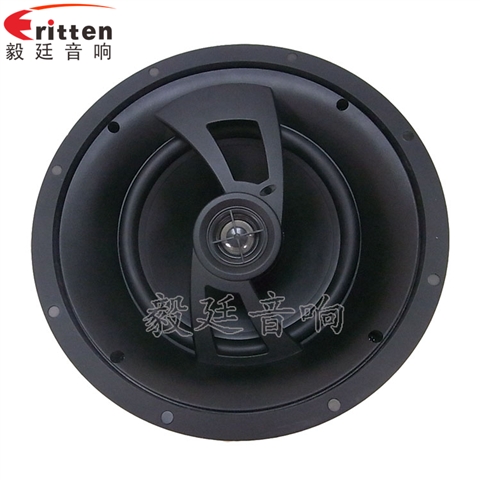 2路8寸吊頂喇叭