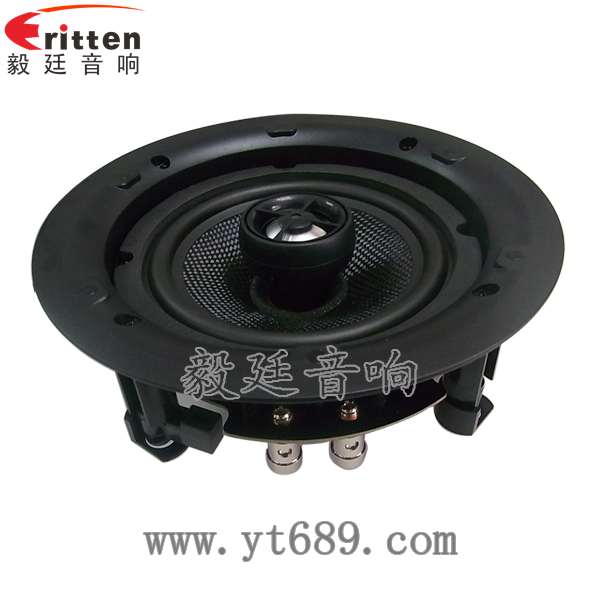 8''中低音舞臺音箱喇叭廠家正面圖