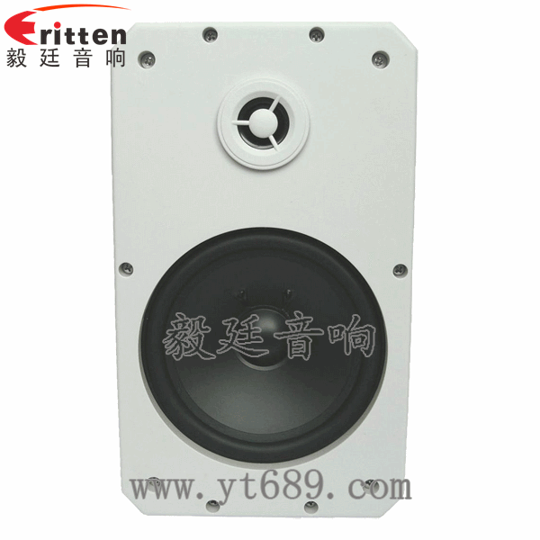 8''中低音舞臺(tái)音箱喇叭廠家正面圖