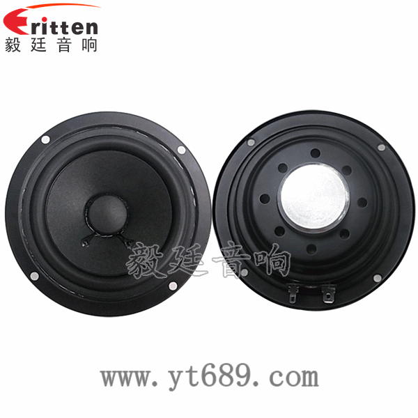109mm10w喇叭--喇叭廠家正反面