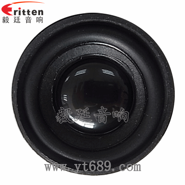 46mm5w高品質內磁學習機喇叭正面圖