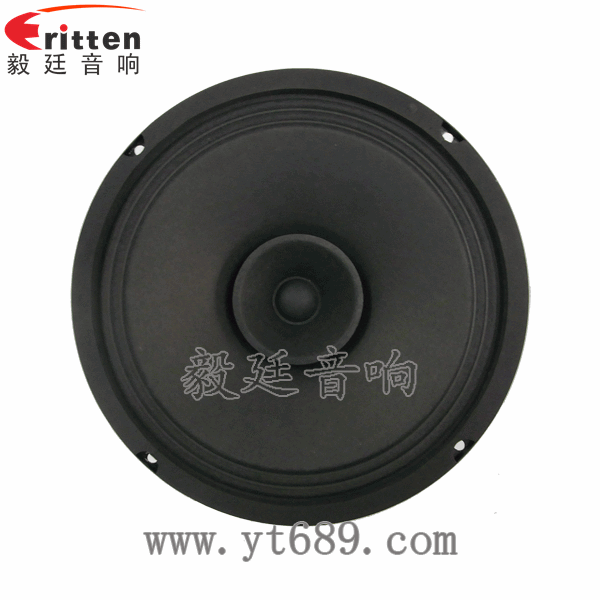 8''中低音舞臺(tái)音箱喇叭廠家正面圖