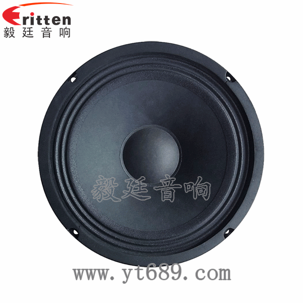8''中低音舞臺(tái)音箱喇叭廠(chǎng)家正面圖