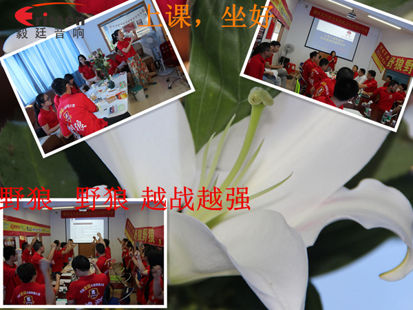 毅廷喇叭廠參與跟著野狼越戰(zhàn)越強(qiáng),金光閃閃的錢(qián)阿~錢(qián)