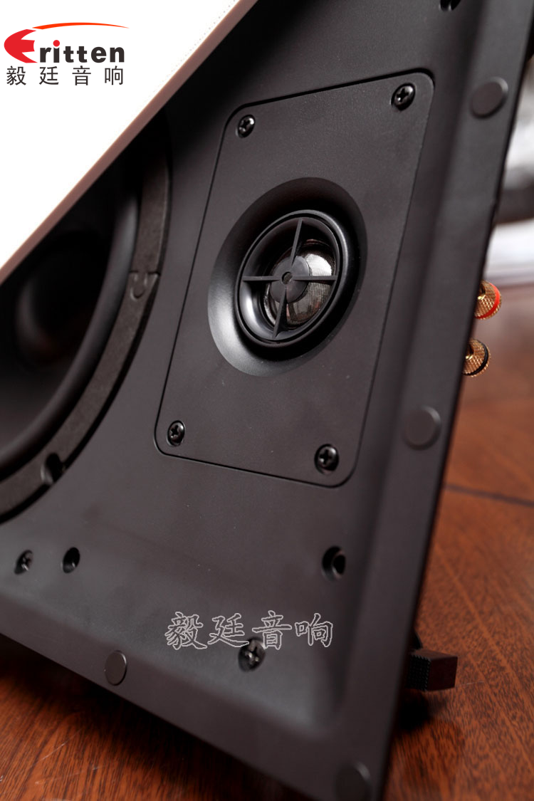 8寸天花吸頂揚(yáng)聲器正面圖