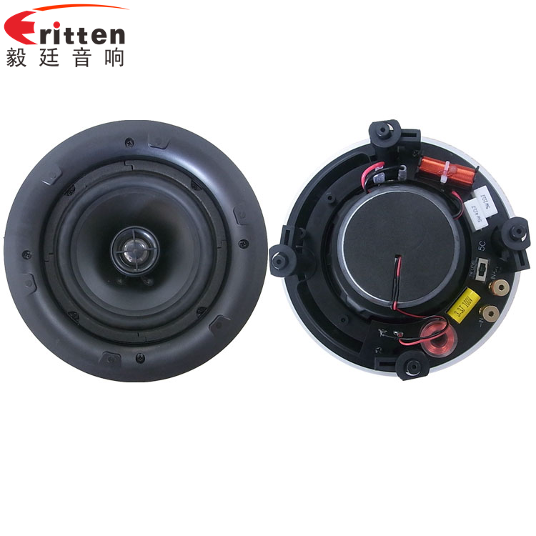 8''250w 重低音喇叭正反面