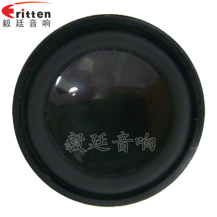 8''250w 重低音喇叭正面圖