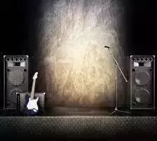 毅廷音響廠家 (4).png