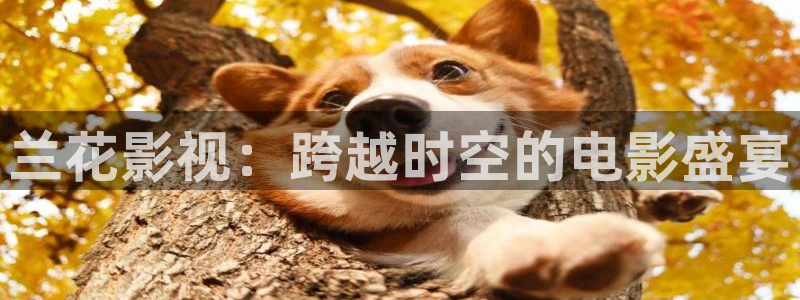 好看影院在線觀看電影：蘭花影視：跨越時空的電影盛宴